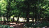 the great outdoors